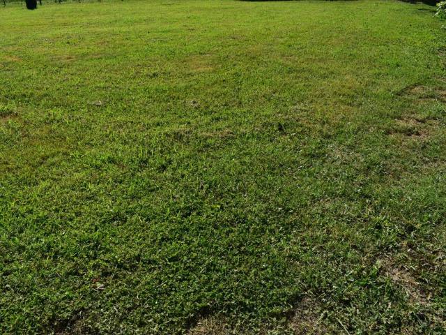 Terreno in vendita a Albignasego, Mandriola
