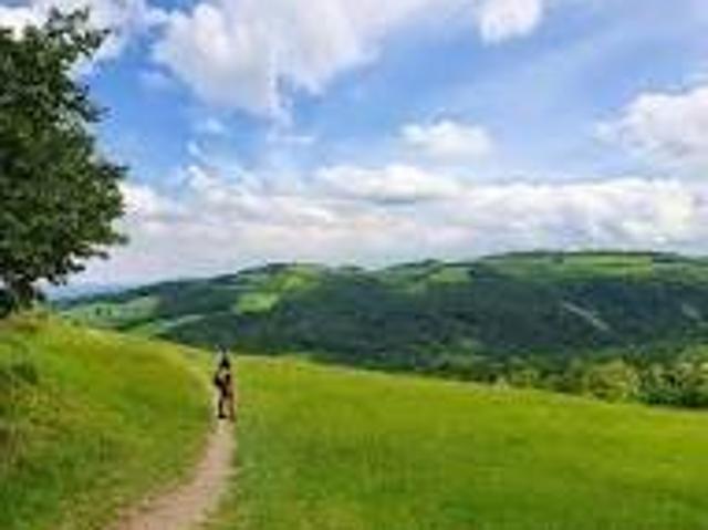 Terreno in vendita a Colline Matildiche, Re