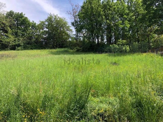 Terreno in vendita a Colline Matildiche, Re