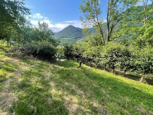 Terreno in vendita a Albino, Lombardia