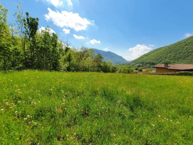 Terreno in vendita a Casale, Albino