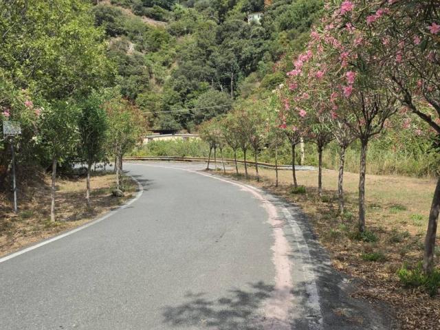 Terreno in vendita a Stella, Liguria