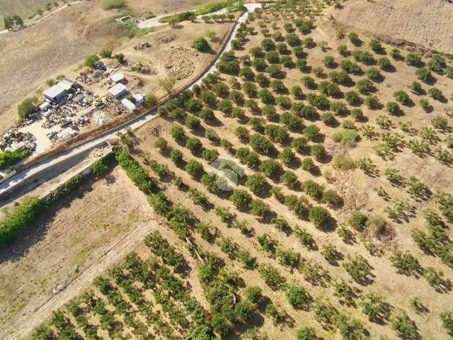 Terreno in vendita a Alcamo, Sicilia