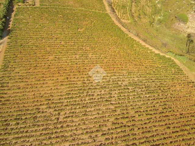 Terreno in vendita a Alcamo, Sicilia