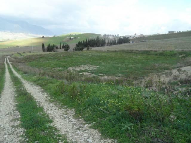 Terreno in vendita a Alcamo, Sicilia