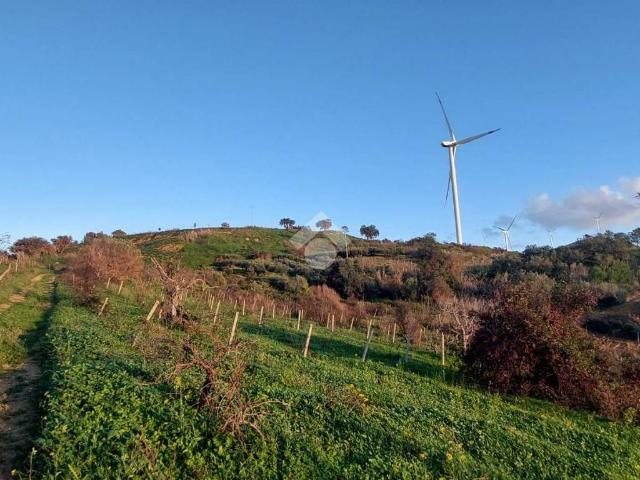 Terreno in vendita a Alcamo, Sicilia