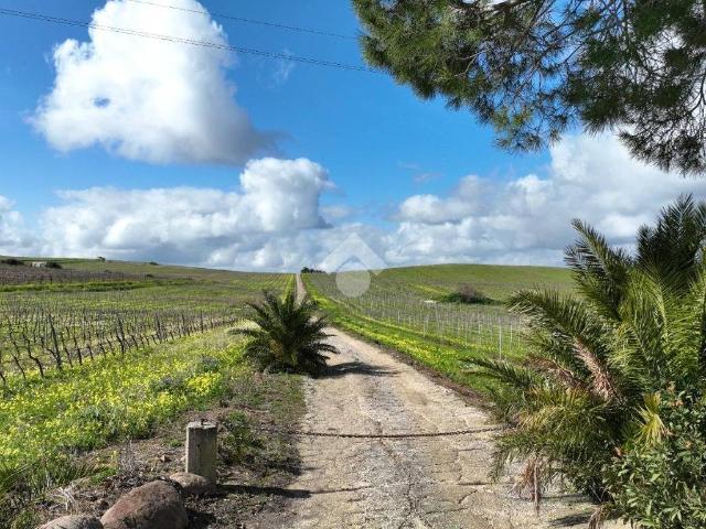 Terreno in vendita a Alcamo, Sicilia