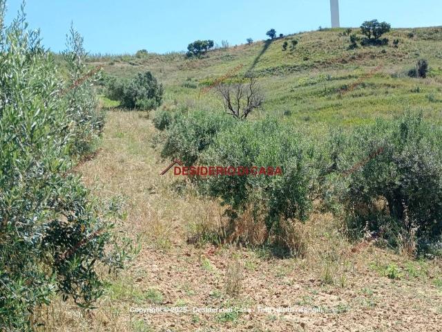 Terreno in vendita a Alcamo, Sicilia