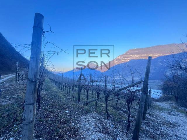 Terreno in vendita a Territorio Val d'Adige, Aldeno