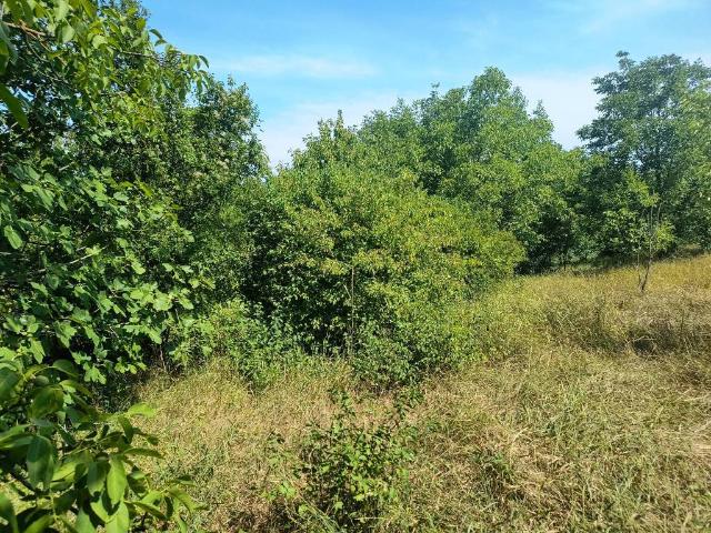 Terreno in vendita a Piemonte, Alessandria