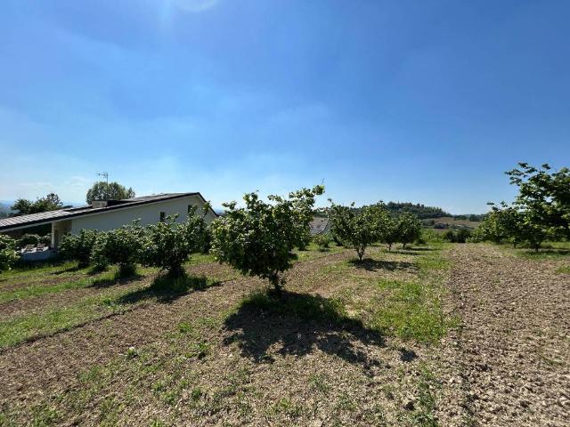 Terreno in vendita a Piemonte, Alessandria