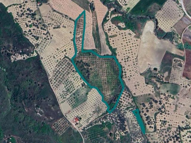 Terreno in vendita a Alessandria Della Rocca, Sicilia