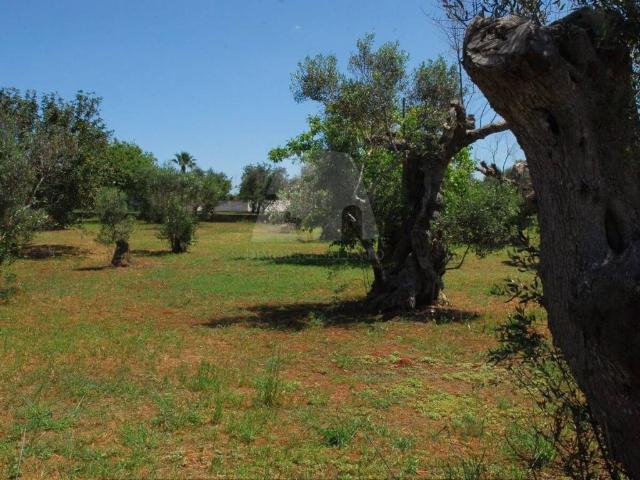 Terreno in vendita a Puglia, Lecce