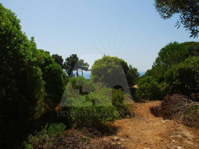 Terreno in vendita a Puglia, Lecce