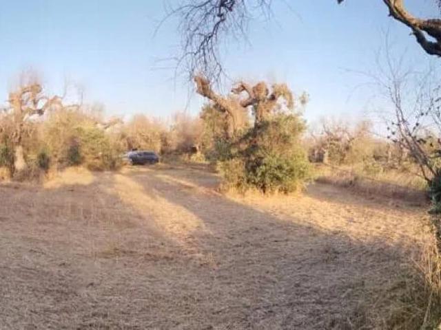 Terreno in vendita a Puglia, Lecce