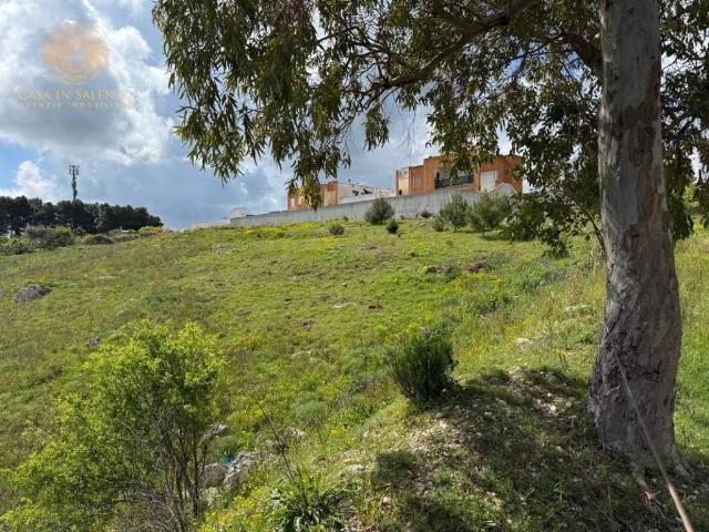 Terreno in vendita a Puglia, Lecce