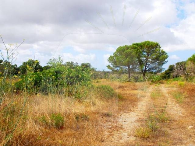 Terreno in vendita a Puglia, Lecce