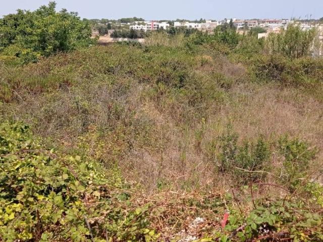 Terreno in vendita a Puglia, Lecce