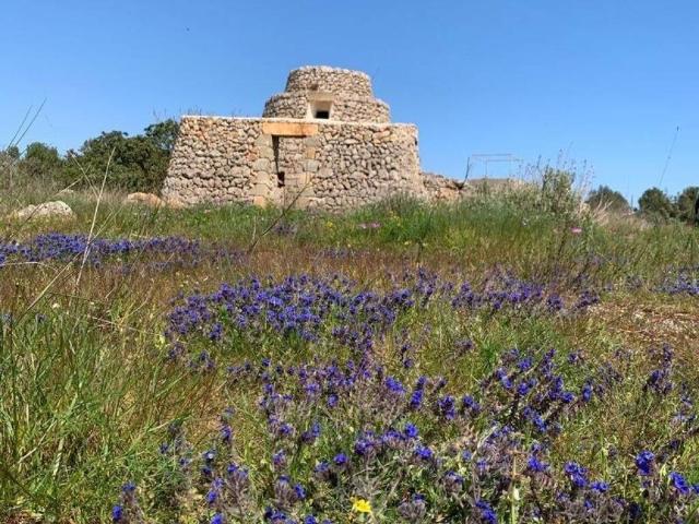 Terreno in vendita a Puglia, Lecce