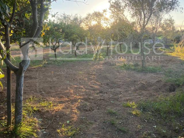 Terreno in vendita a Puglia, Lecce