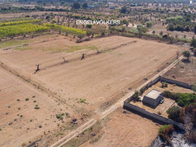 Terreno in vendita a Puglia, Lecce
