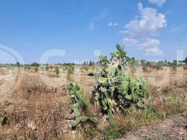 Terreno in vendita a Puglia, Lecce