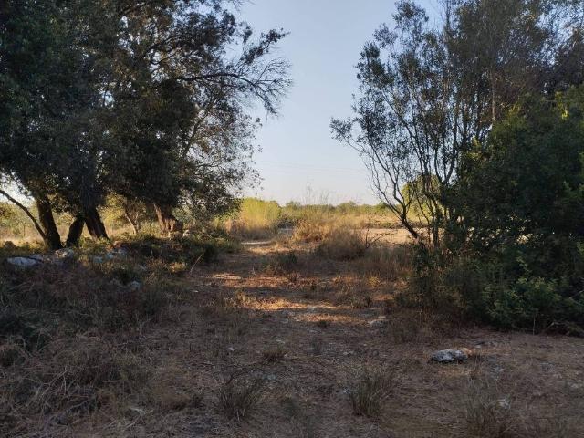 Terreno in vendita a Puglia, Lecce