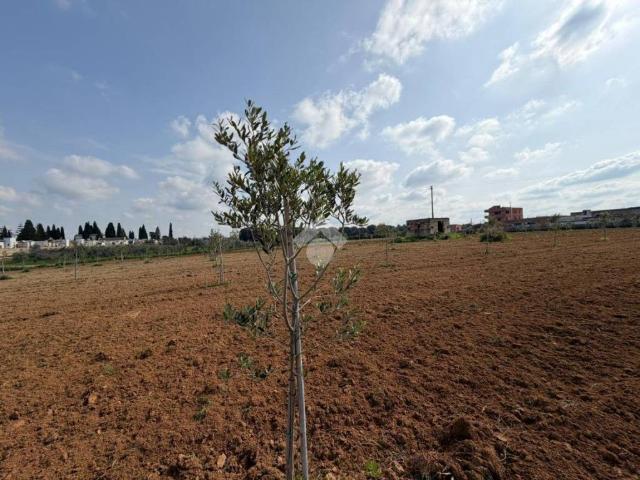 Terreno in vendita a Puglia, Lecce