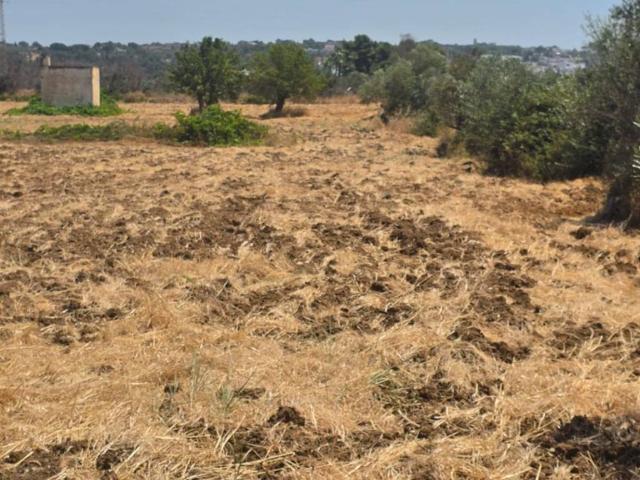Terreno in vendita a Puglia, Lecce