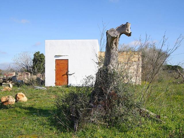 Terreno in vendita a Puglia, Lecce