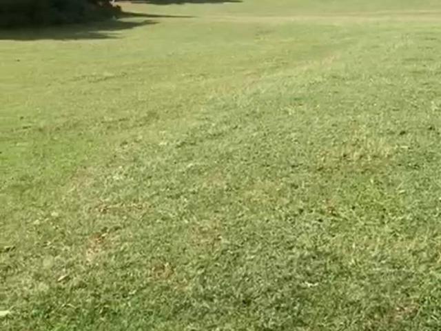 Terreno in vendita a Alfedena, Abruzzo
