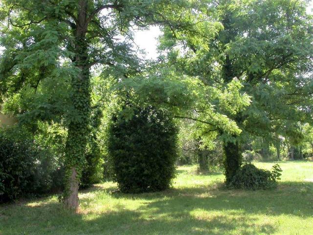 Terreno in vendita a Unione dei comuni della Bassa Romagna, Alfonsine