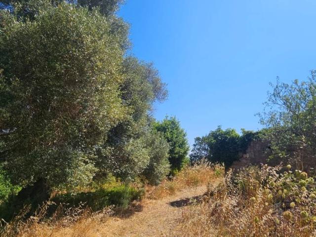 Terreno in vendita a Alghero, Sardigna/Sardegna