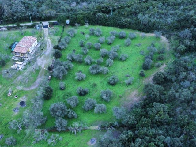 Terreno in vendita a La Cunetta, Alghero