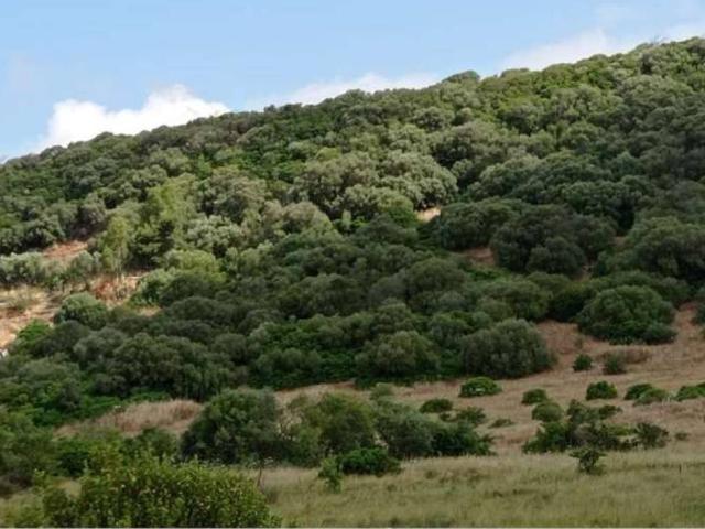 Terreno in vendita a Alghero, Sardigna/Sardegna