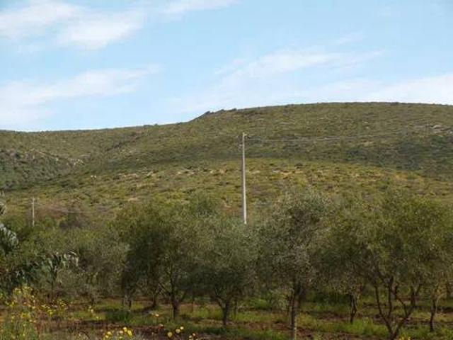 Terreno in vendita a Alghero, Sardigna/Sardegna