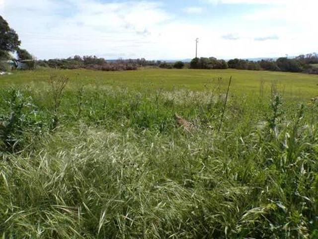 Terreno in vendita a Alghero, Sardigna/Sardegna