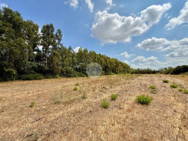Terreno in vendita a Alghero, Sardigna/Sardegna