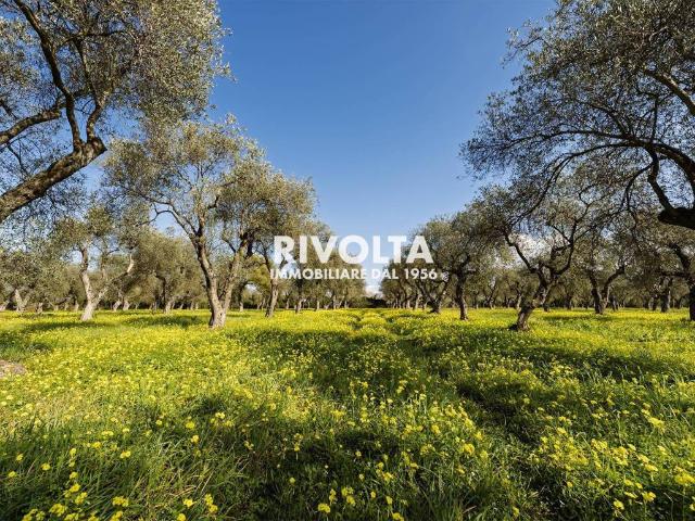 Terreno in vendita a Alghero, Sardigna/Sardegna