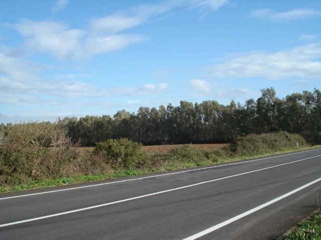 Terreno in vendita a Alghero, Sardigna/Sardegna