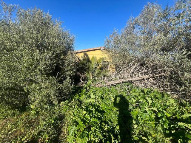 Terreno in vendita a Alghero, Sardigna/Sardegna