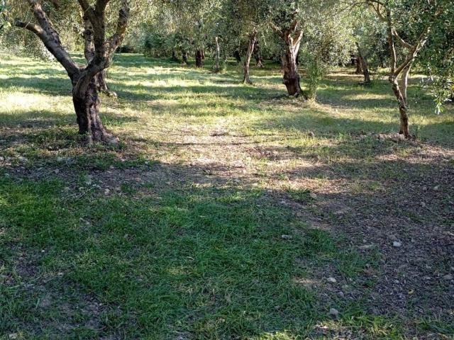 Terreno in vendita a Alghero, Sardigna/Sardegna