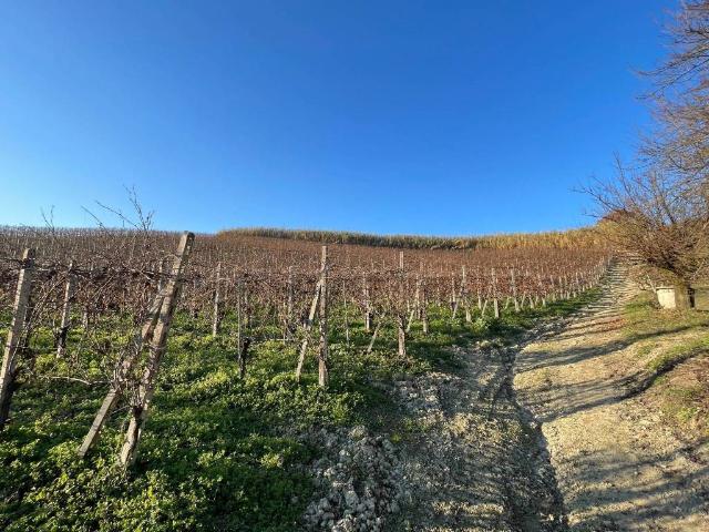 Terreno in vendita a Piemonte, Alessandria