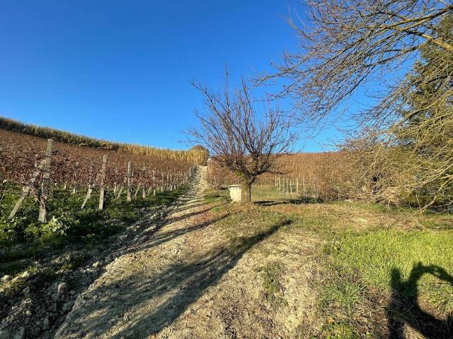 Terreno in vendita a Piemonte, Alessandria