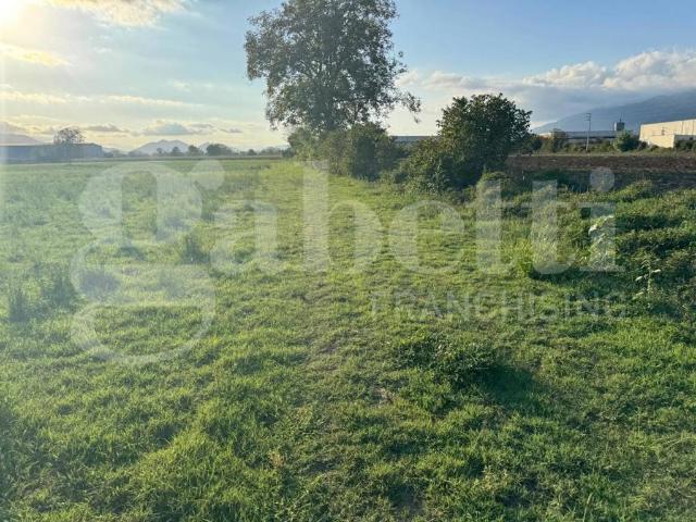 Terreno in vendita a Alife, Campania