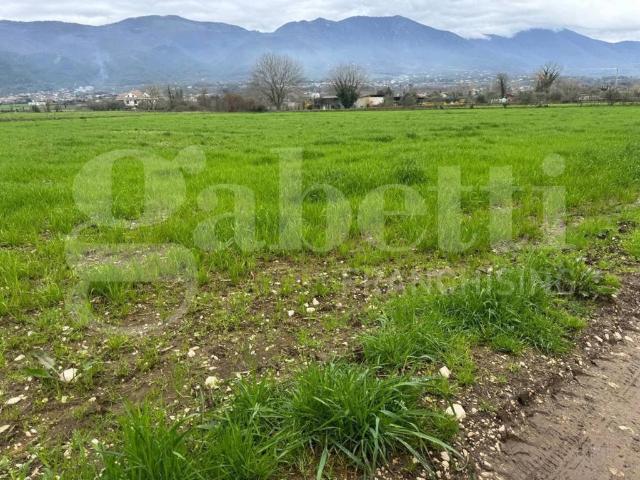 Terreno in vendita a Alife, Campania