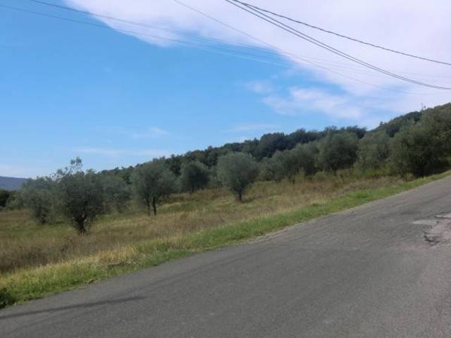 Terreno in vendita a Allerona, Umbria
