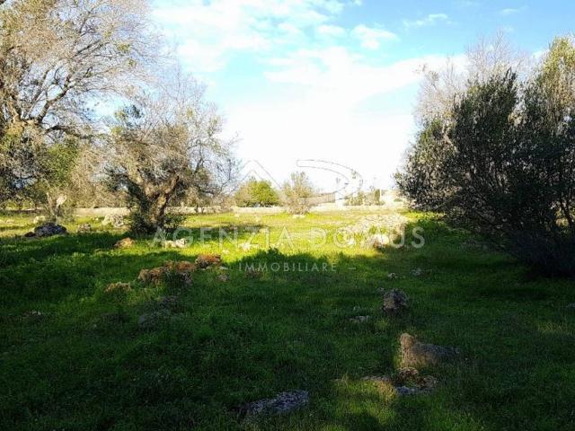 Terreno in vendita a Puglia, Lecce
