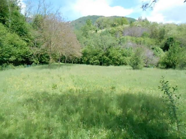 Terreno in vendita a Almenno San Bartolomeo, Lombardia