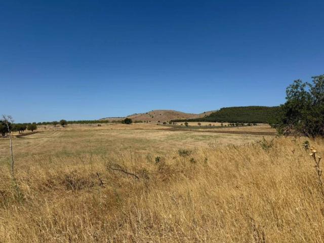 Terreno in vendita a Murge di Parisi Vecchio, Altamura